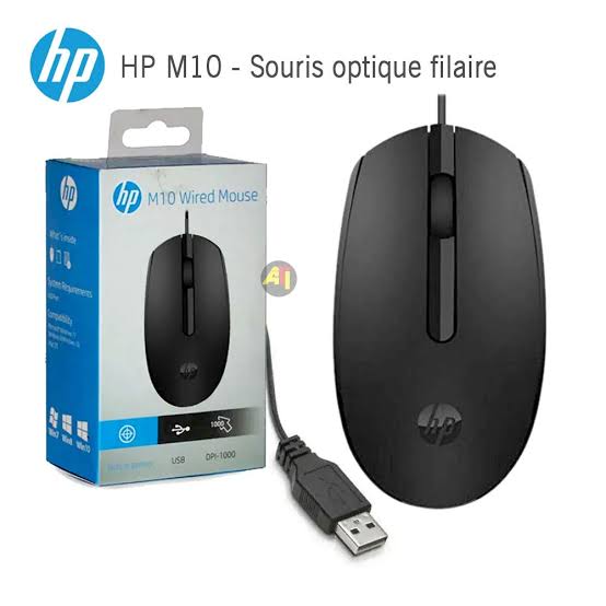 Souris HP M10 [wired mouse ]